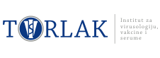 Torlak
