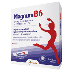 Magnum B6 A20