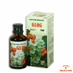 Kapi Gloga Sinefarm 30ml