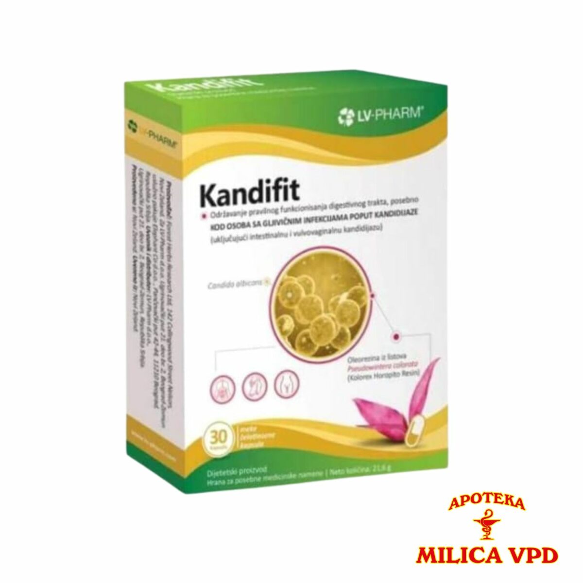 LV Pharm Kandifit 30 kapsula
