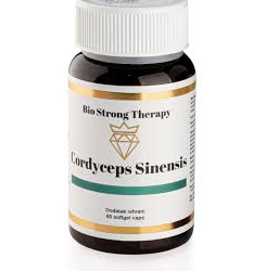 Cordyceps Sinensis 60 kapsula